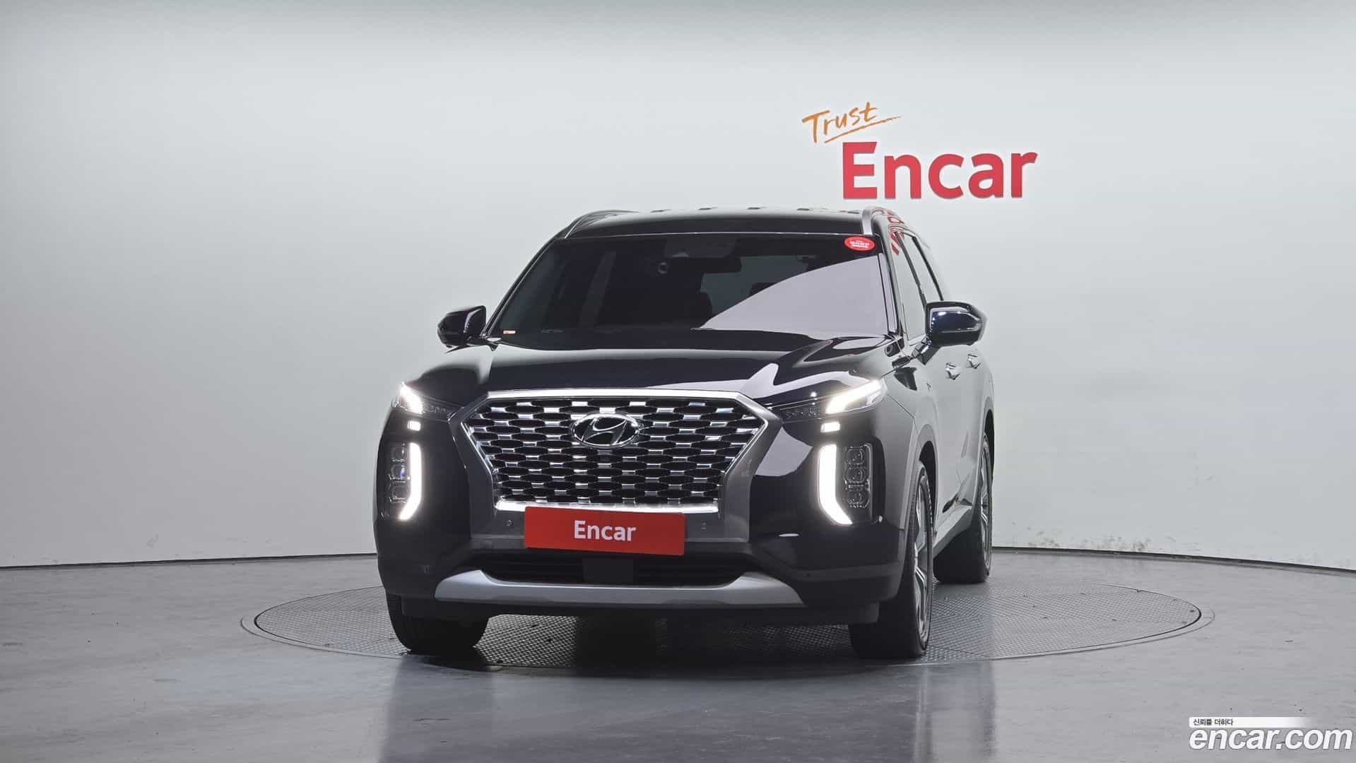 Palisade Hyundai 2019.1-OUTER-003