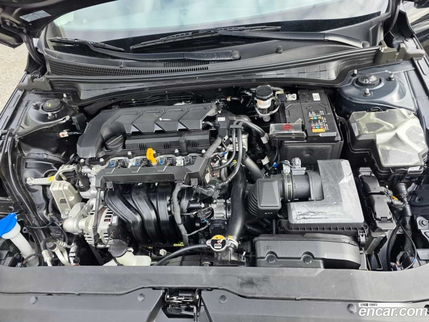 AVANTE Hyundai 2024.4-OPTION-018