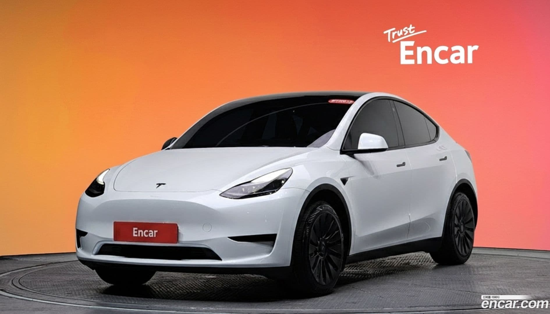 Main__Slider__Photo:Model Y Tesla 2023.8-0