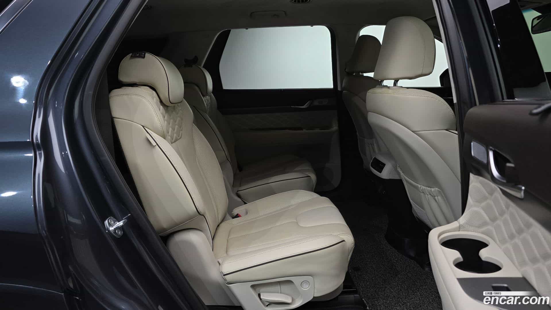 Palisade Hyundai 2020.10-OPTION-016