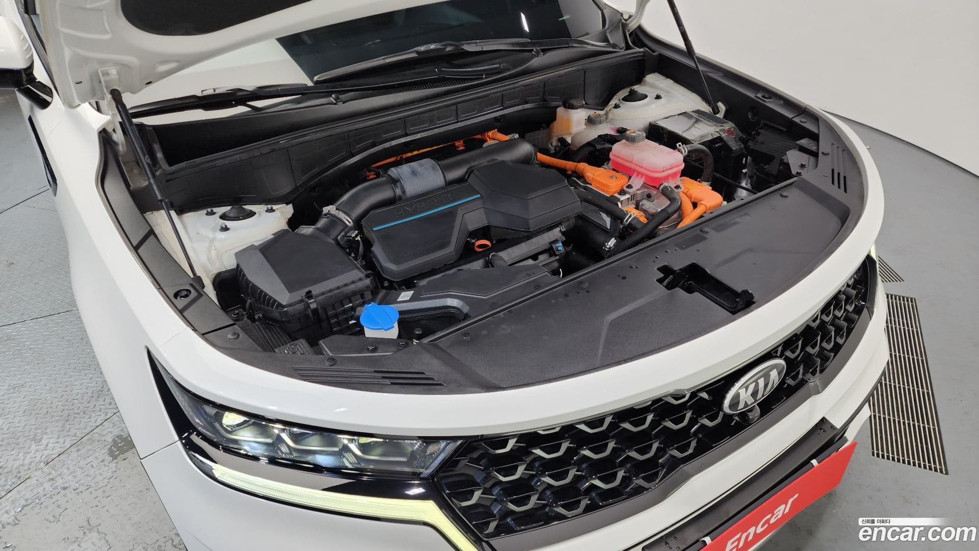Main__Slider__Photo:Sorento Kia 2021.1-5