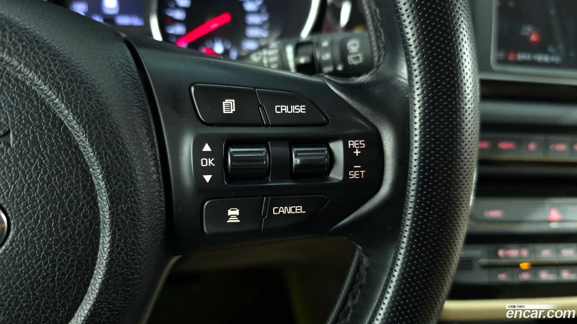 Canival Kia 2018.8-OPTION-022