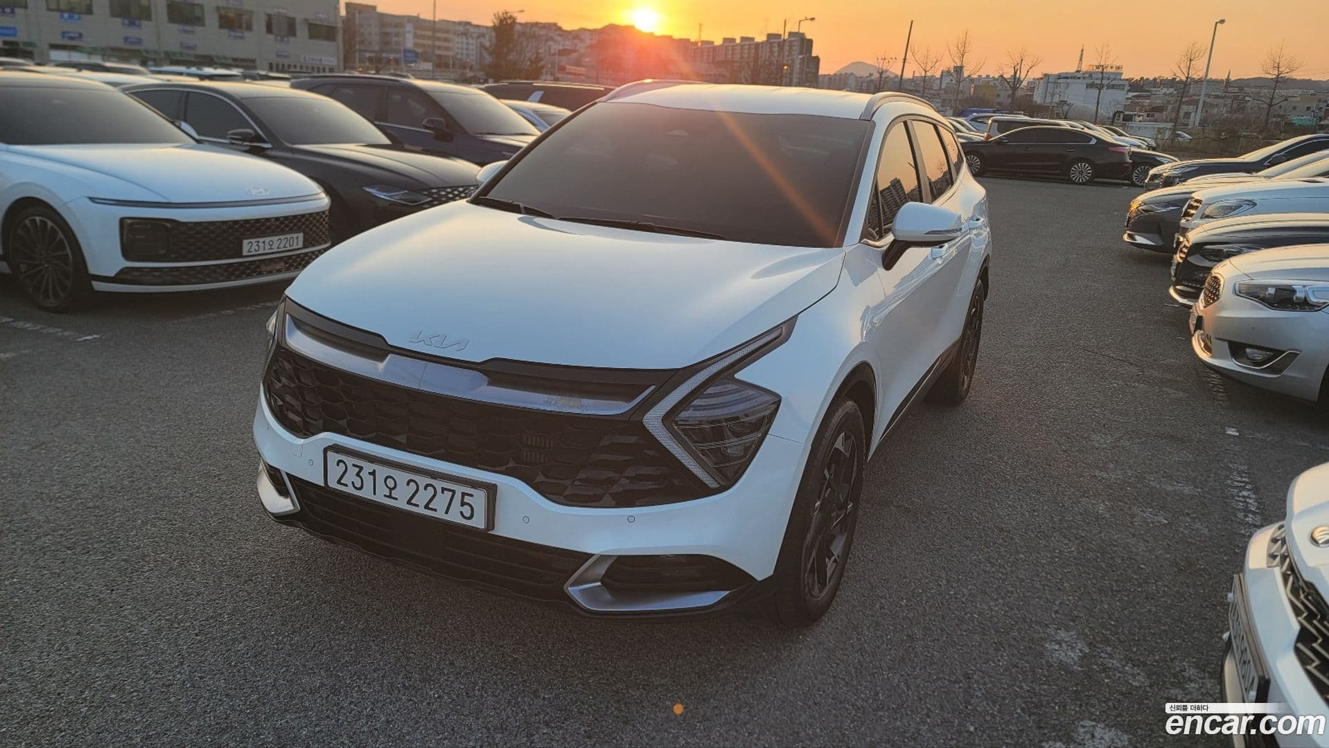 Main__Slider__Photo:Sportage Kia 2021.11-0