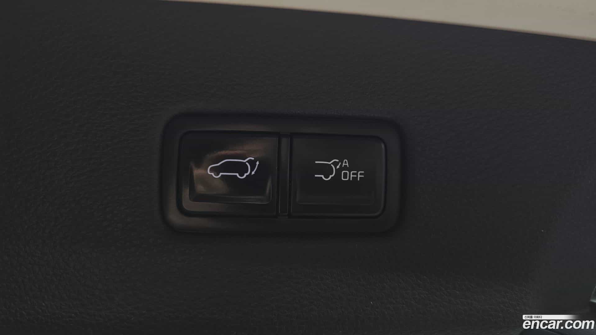 Canival Kia 2020.8-OPTION-024