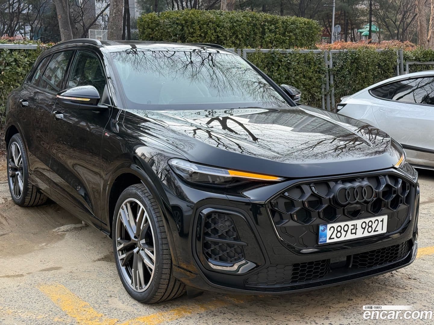 Main__Slider__Photo:Q5 Audi 2025.11-0
