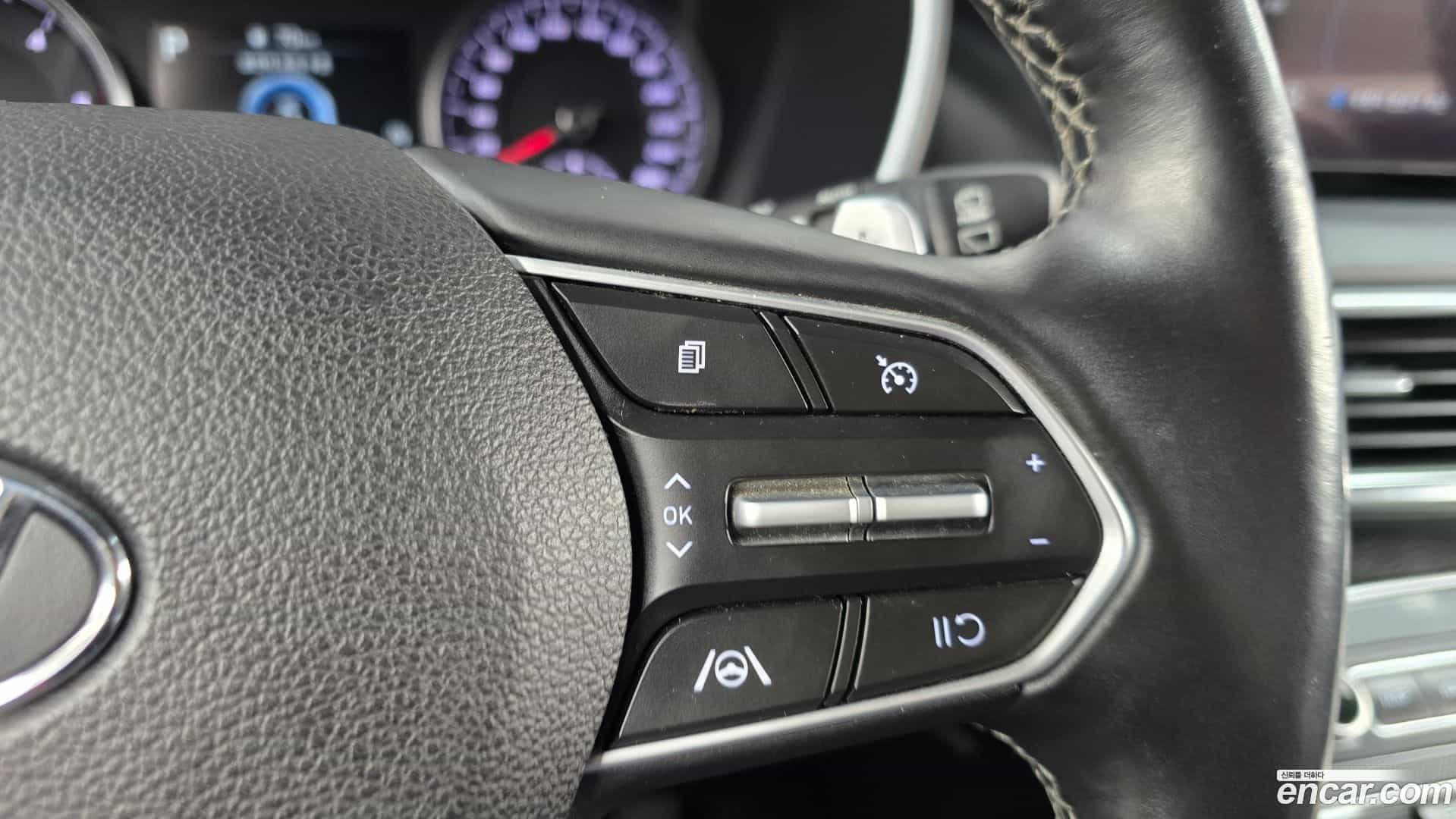 Santafe Hyundai 2022.3-OPTION-022