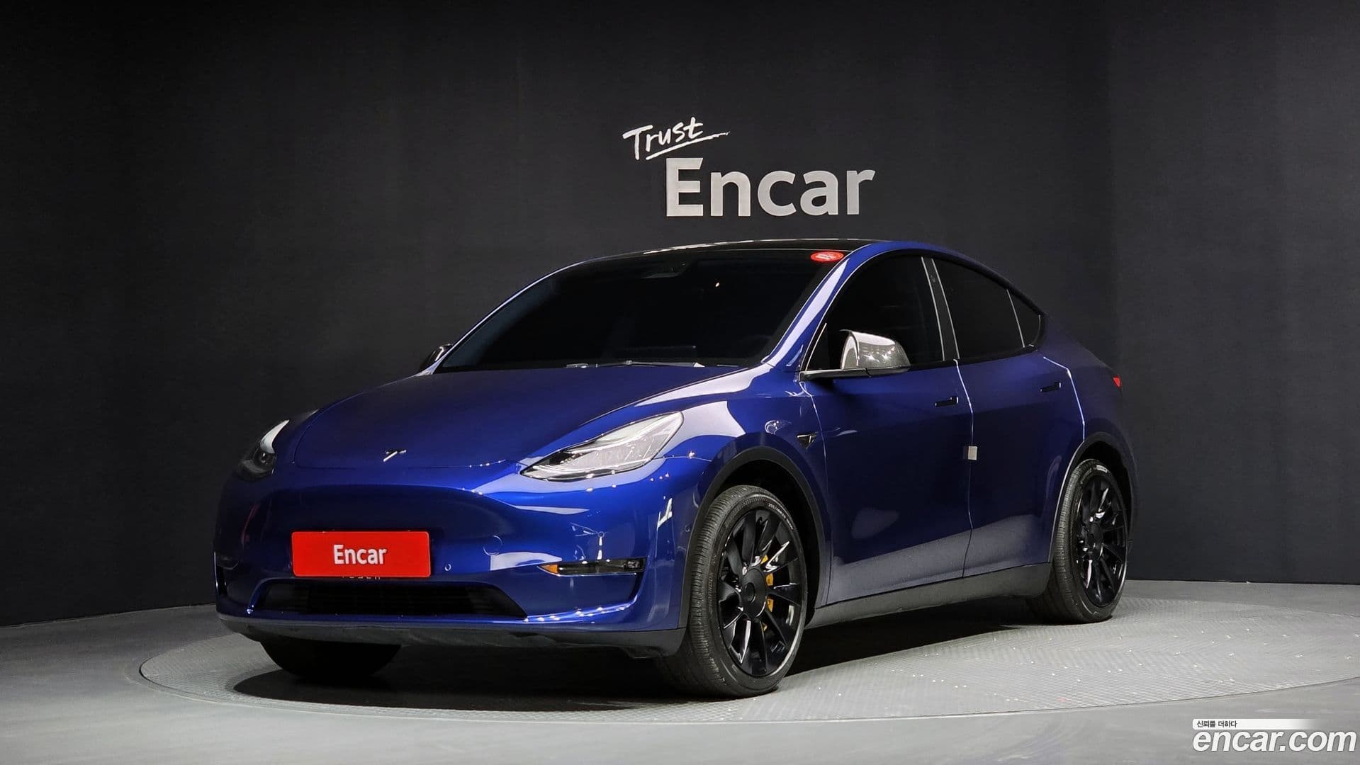 Main__Slider__Photo:Model Y Tesla 2021.5-0