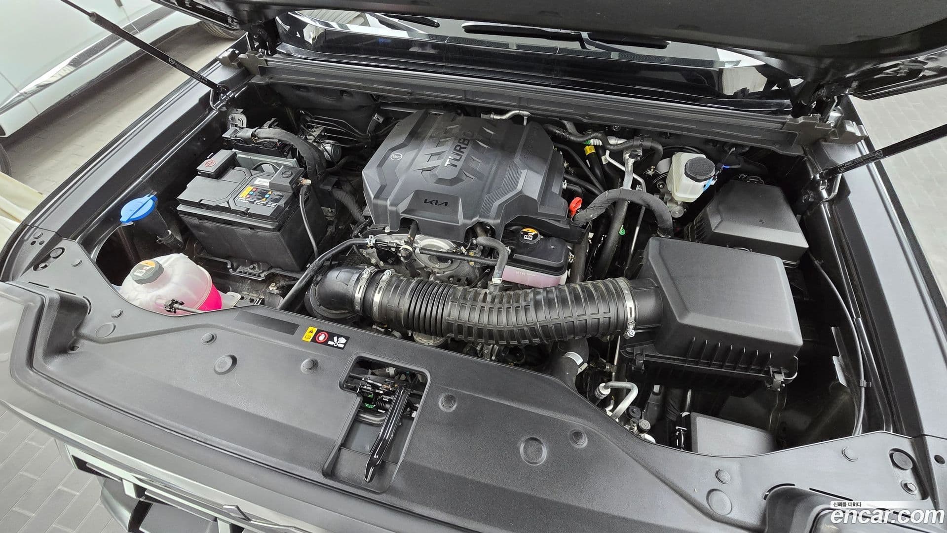 Main__Slider__Photo:Tasman Kia 2025.2-5