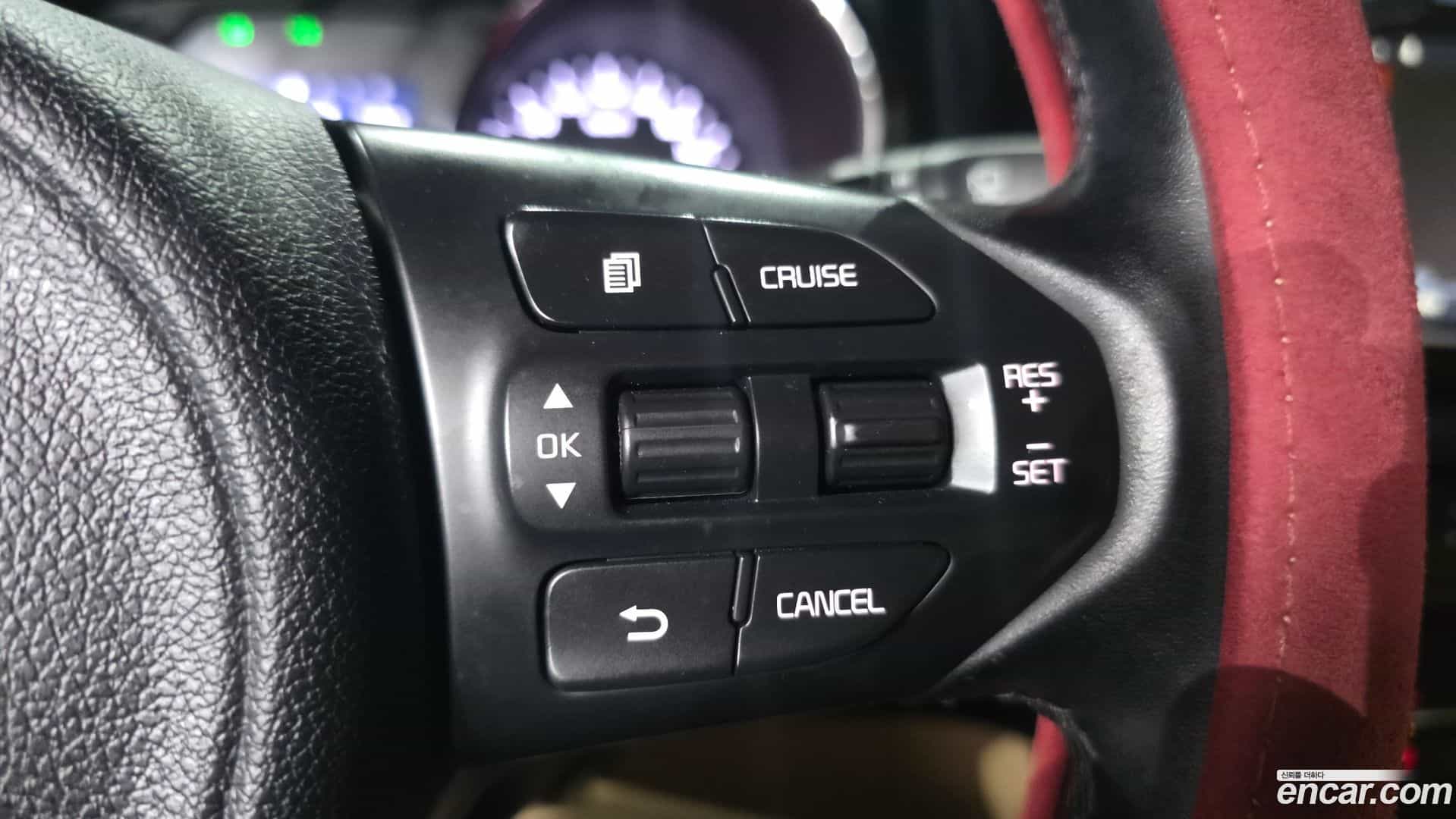 Canival Kia 2015.10-OPTION-021