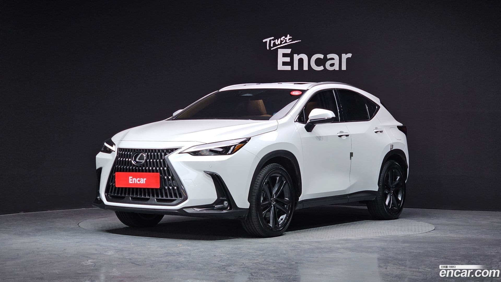 Main__Slider__Photo:NX Lexus 2025.2-0
