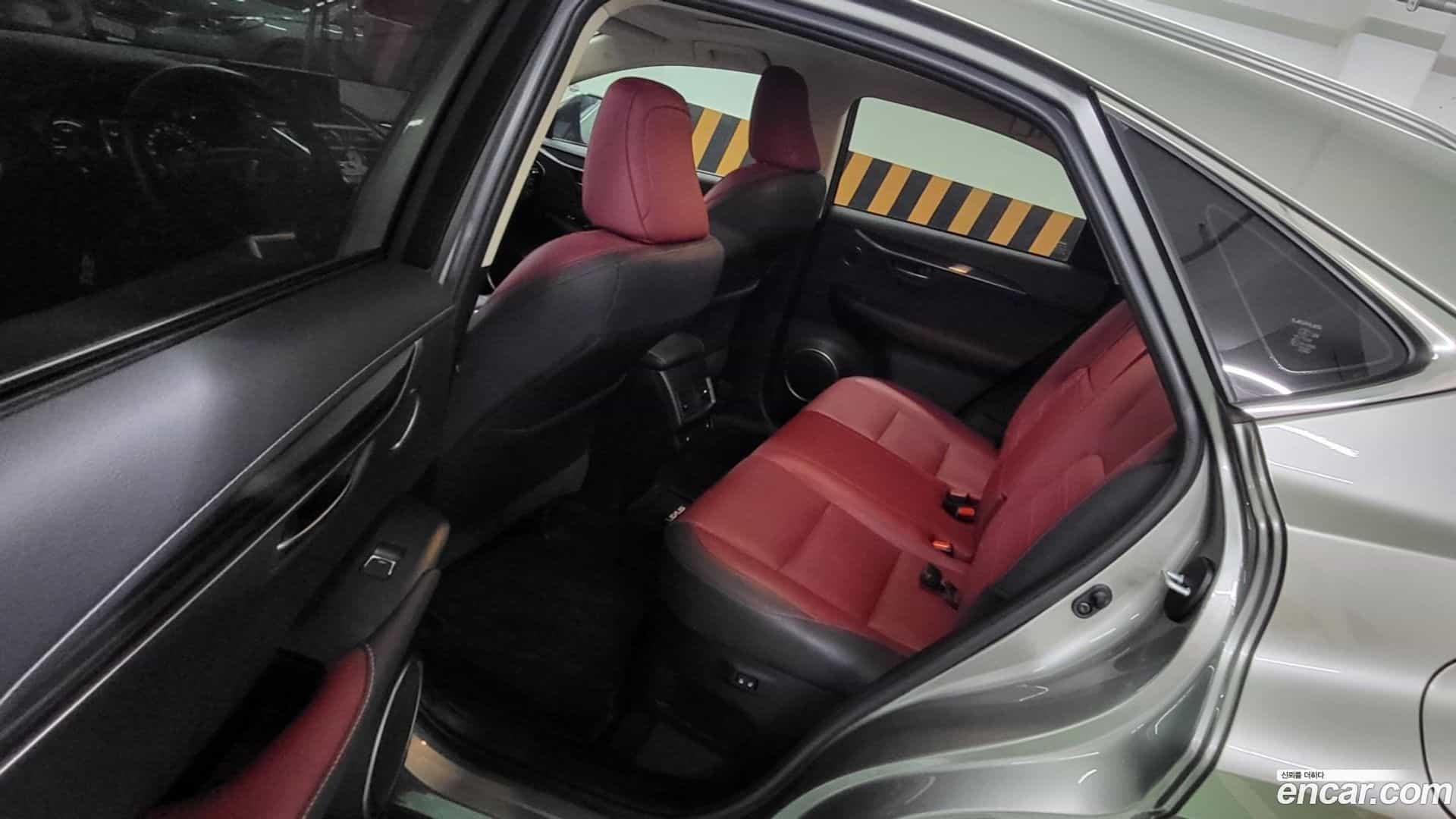 NX Lexus 2019.0-OPTION-015