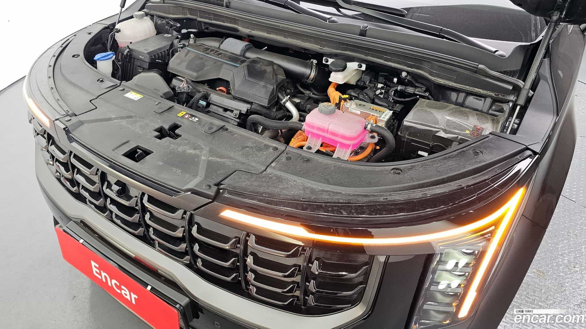 Canival Kia 2024.0-INNER-006