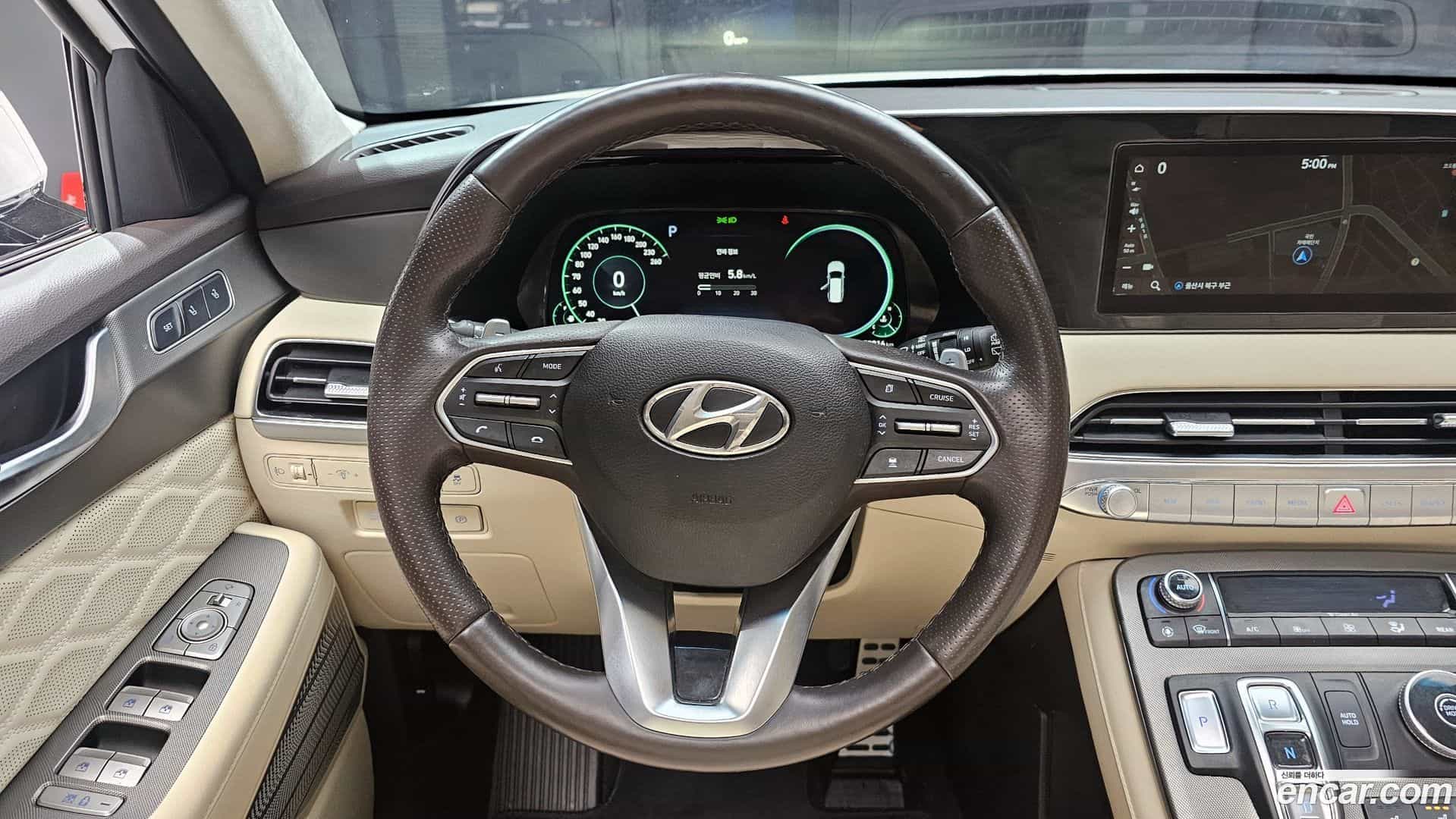 Palisade Hyundai 2021.6-OPTION-017