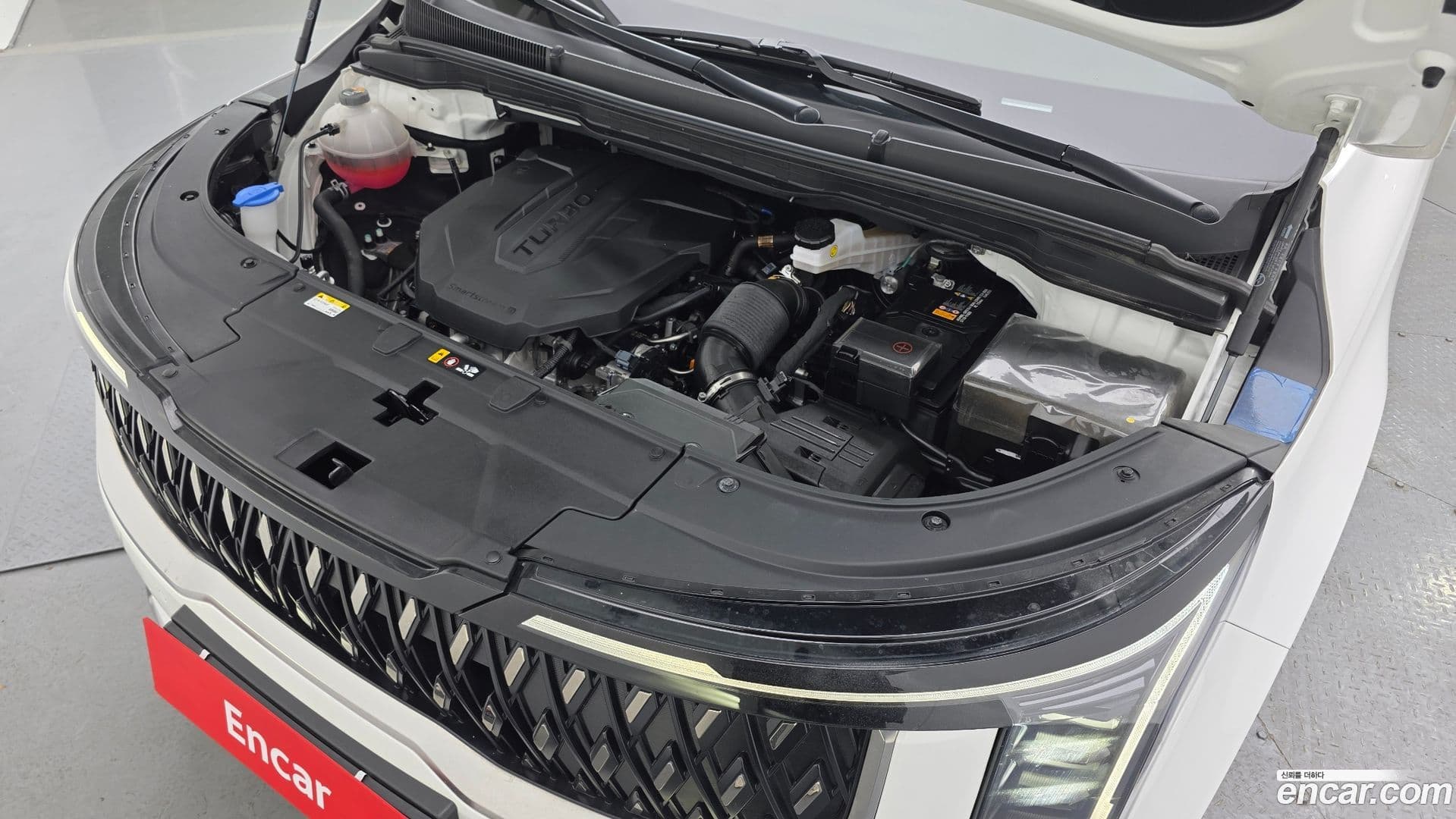 Main__Slider__Photo:Canival Kia 2024.7-5