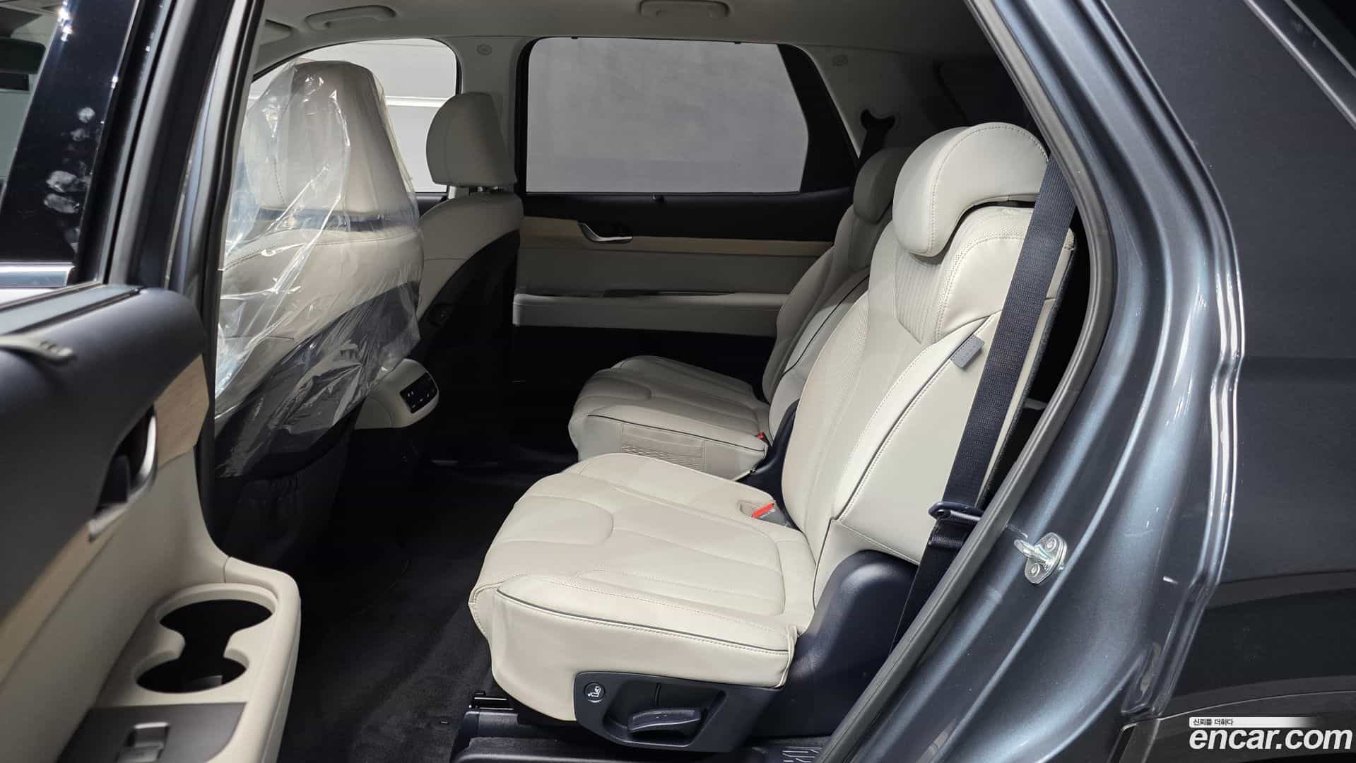 Palisade Hyundai 2024.6-OPTION-016