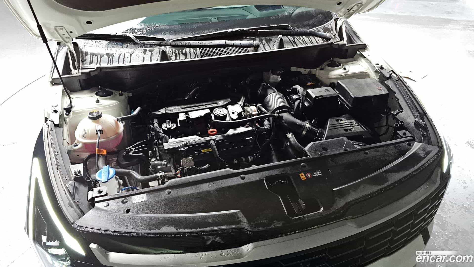 Sportage Kia 2025.0-INNER-006
