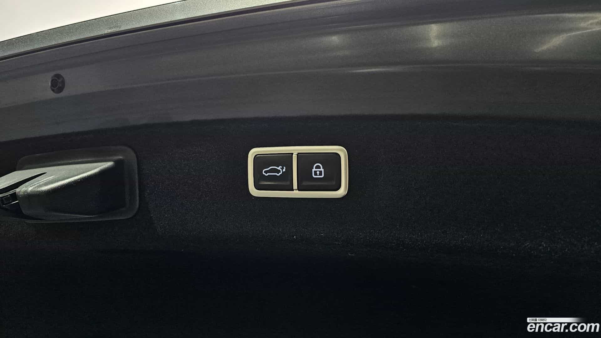 G80 Genesis 2023.0-OPTION-024