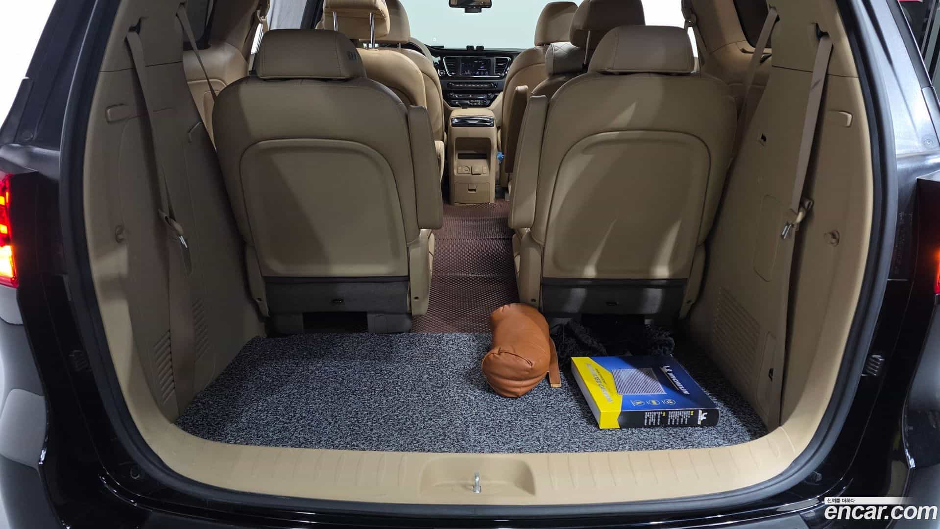 Canival Kia 2018.9-OPTION-024