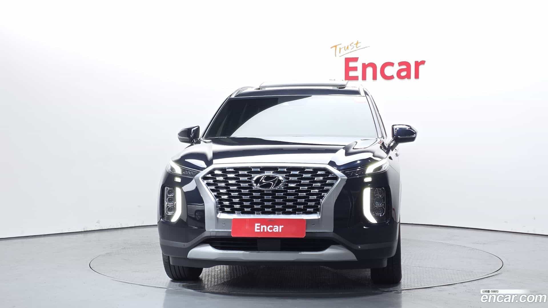 Palisade Hyundai 2020.4-OUTER-003