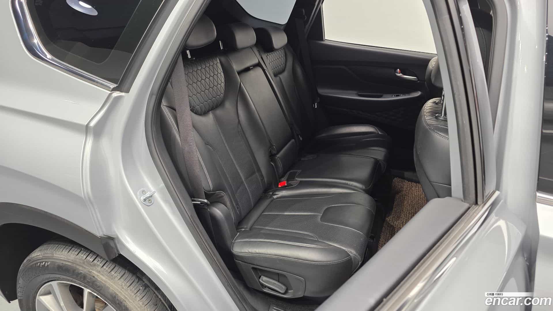 Santafe Hyundai 2018.10-OPTION-016