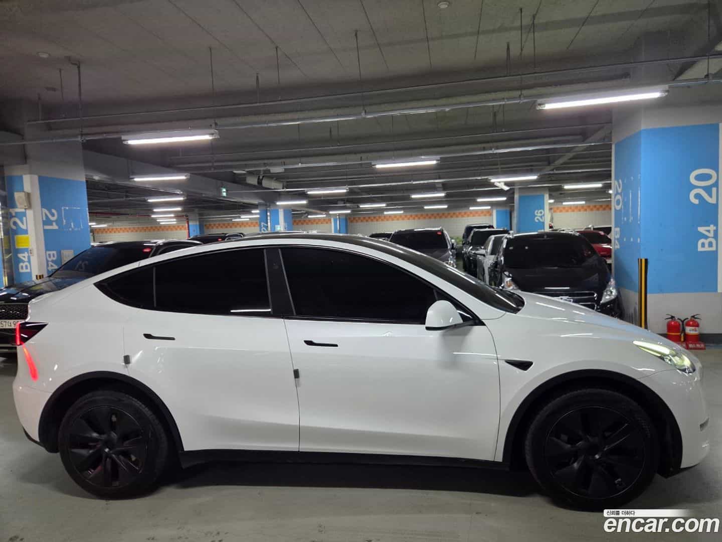 Model Y Tesla 2024.9-OUTER-004