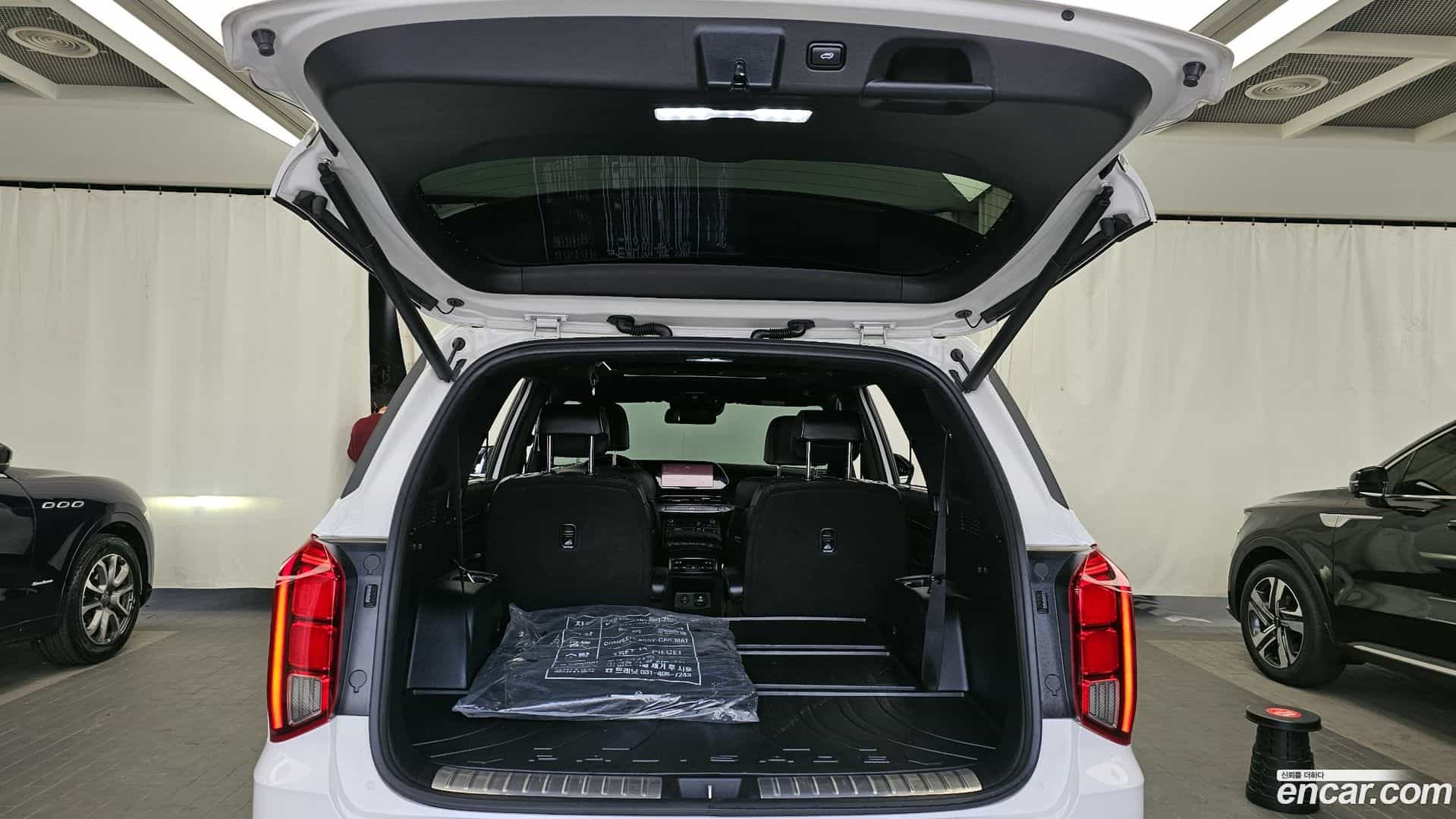 Palisade Hyundai 2020.9-OPTION-024