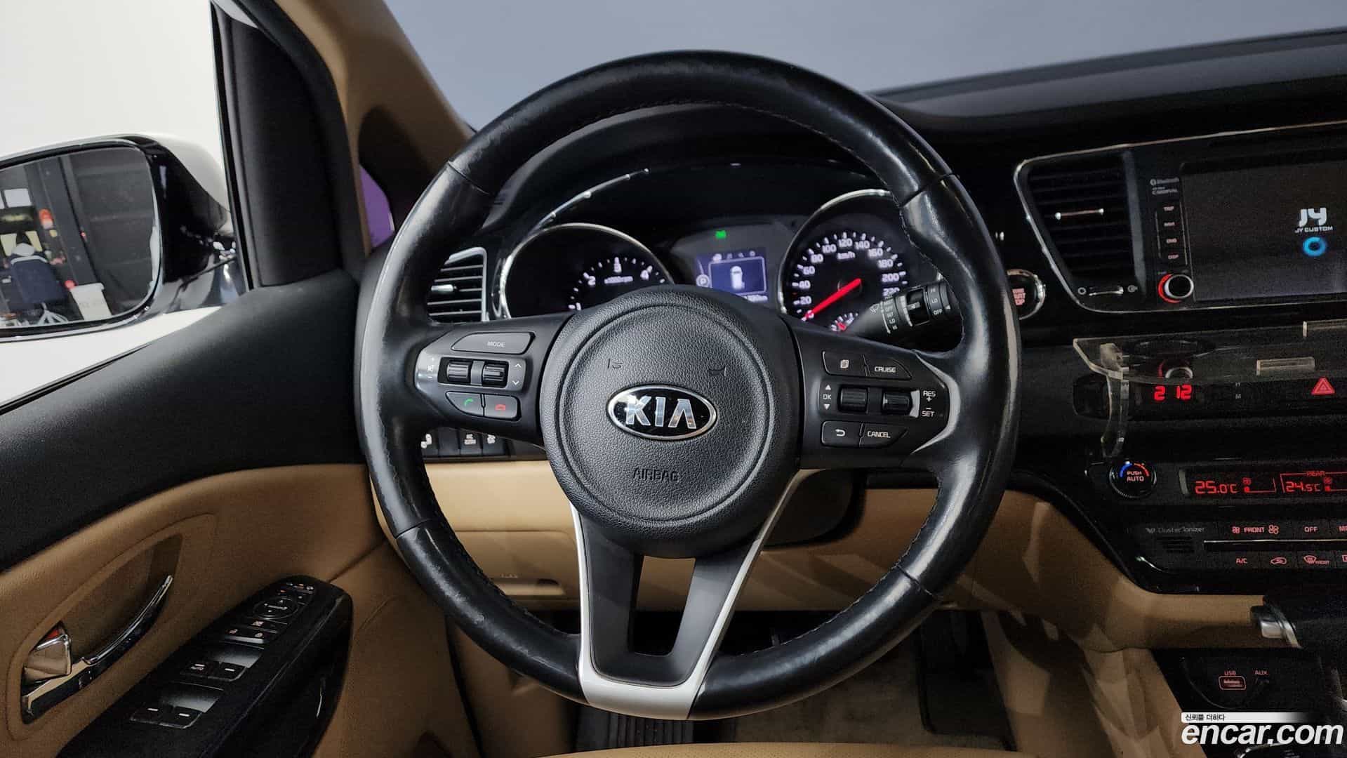 Canival Kia 2017.9-OPTION-017