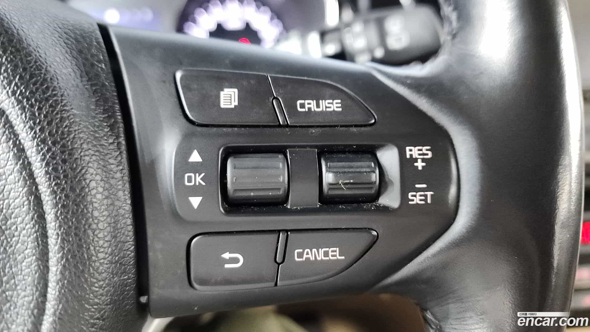 Canival Kia 2017.9-OPTION-018