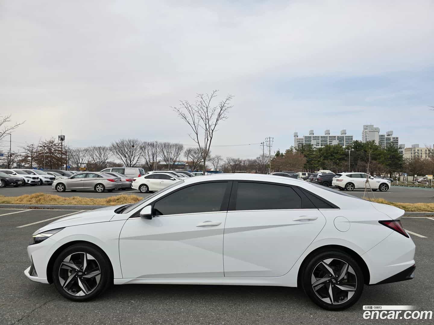 AVANTE Hyundai 2020.3-OPTION-023