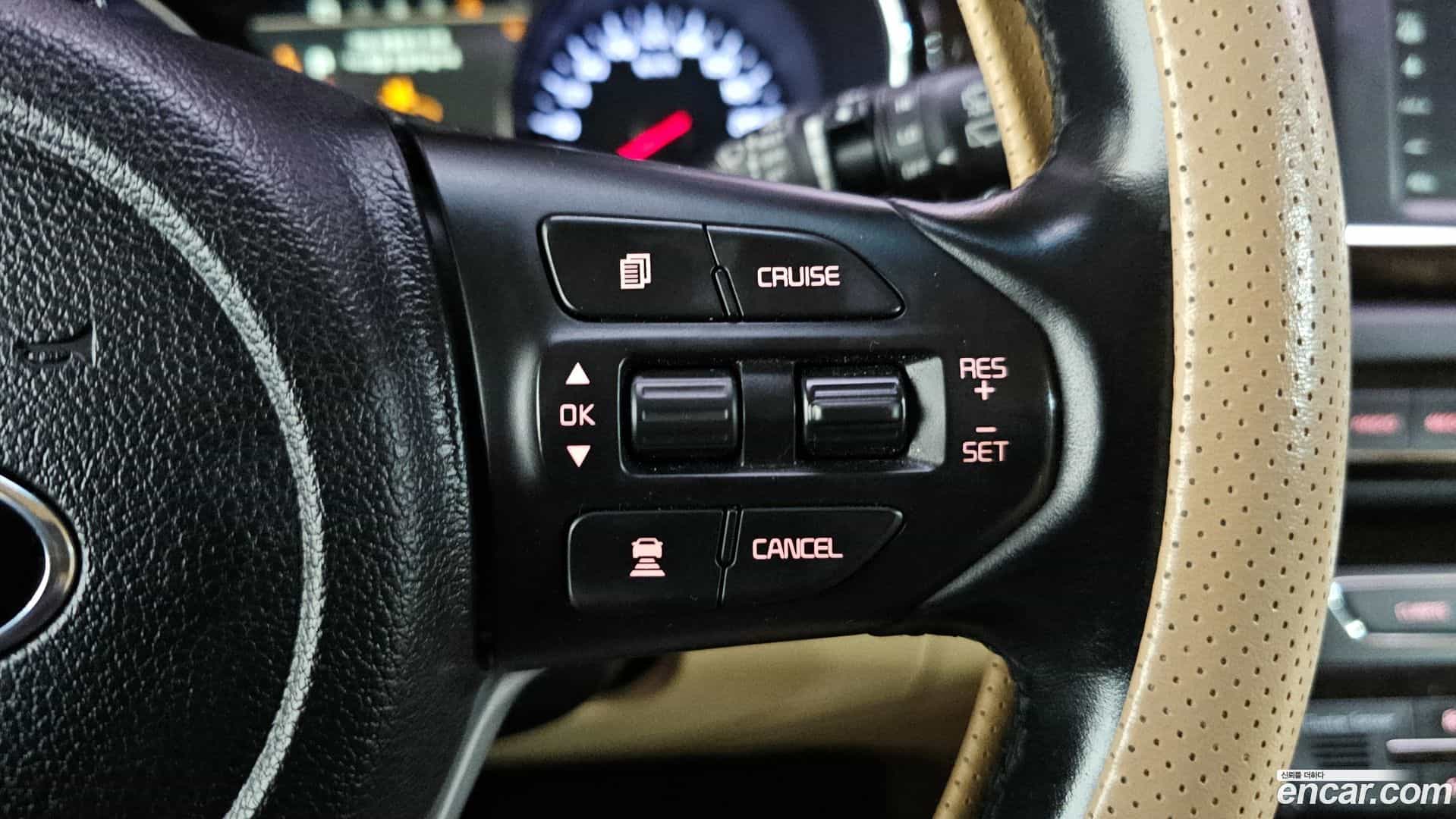 Canival Kia 2018.5-OPTION-024