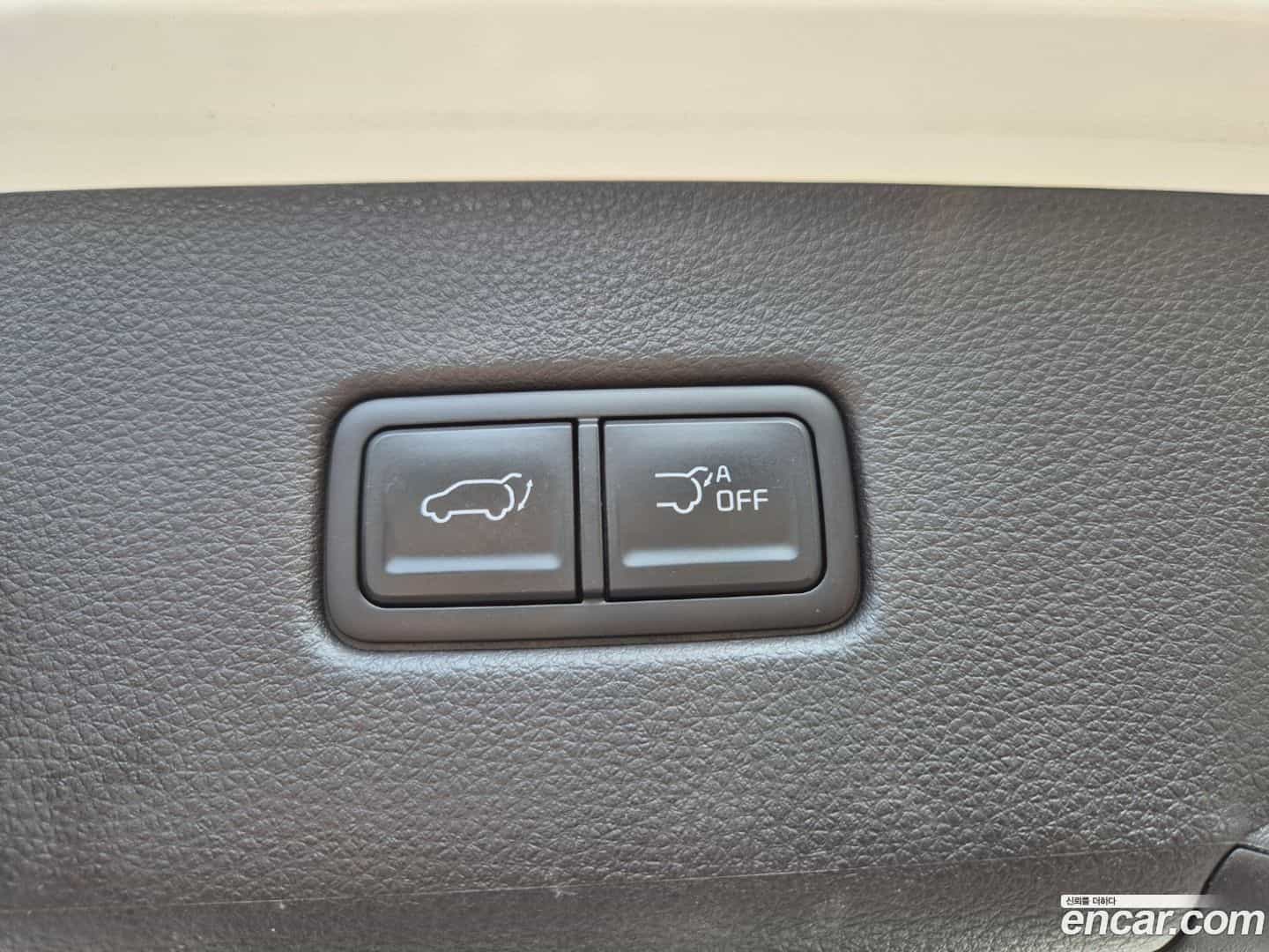Canival Kia 2021.0-OPTION-022