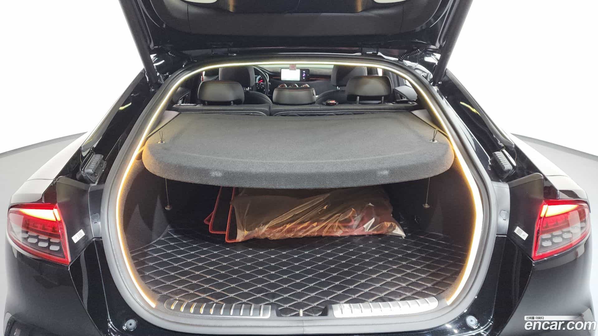 Stinger Kia 2022.4-OPTION-024