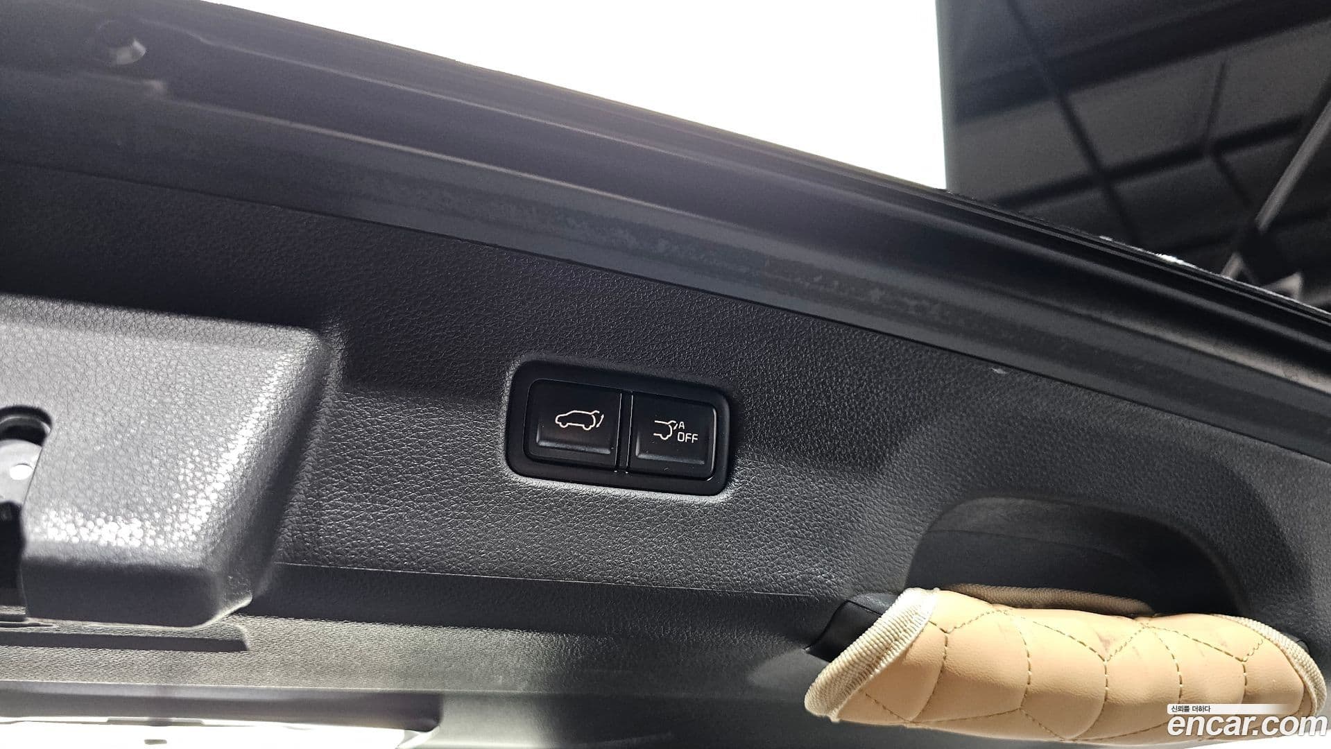 Main__Slider__Photo:Canival Kia 2021.4-26