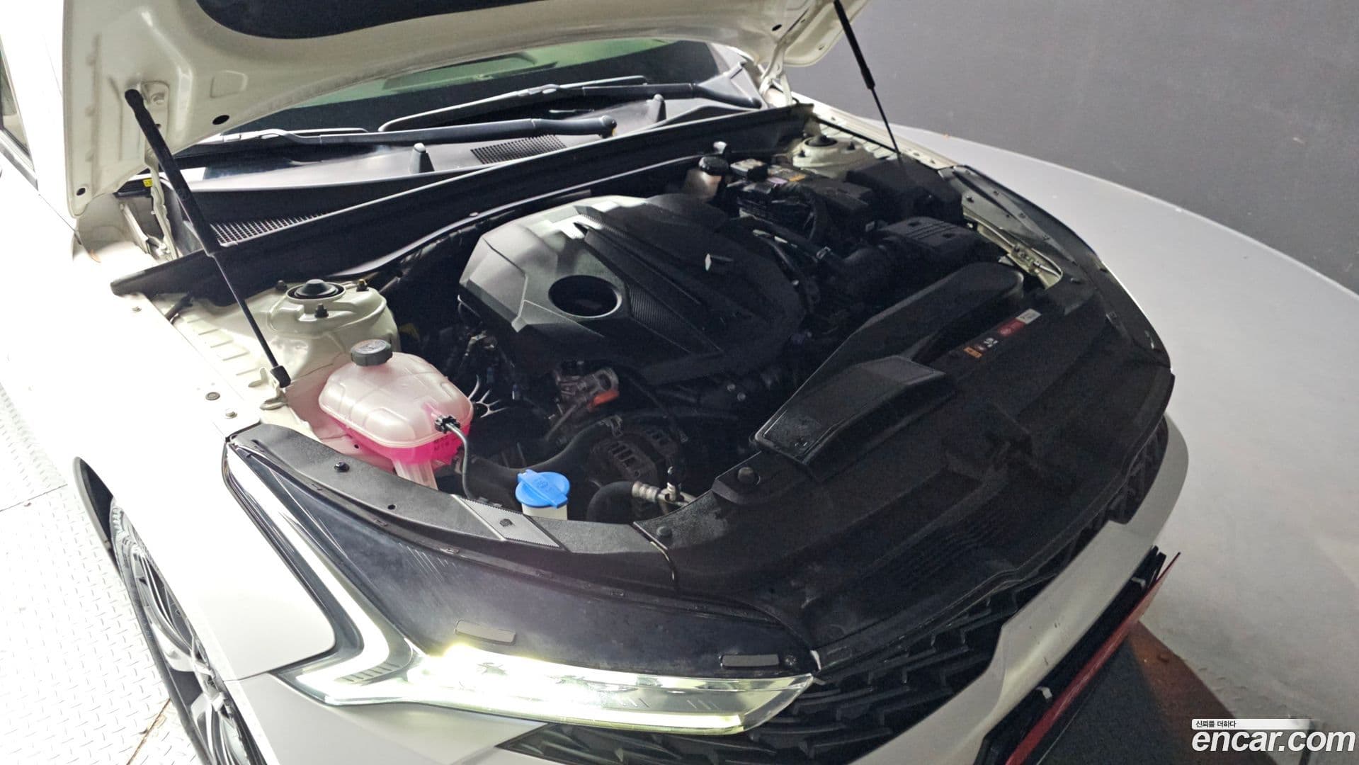 Main__Slider__Photo:K5 Kia 2021.1-5