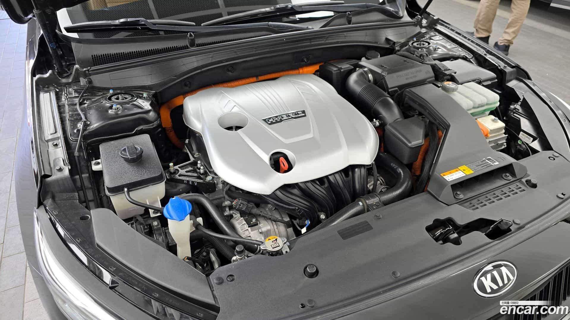 K7 Kia 2019.6-OUTER-006