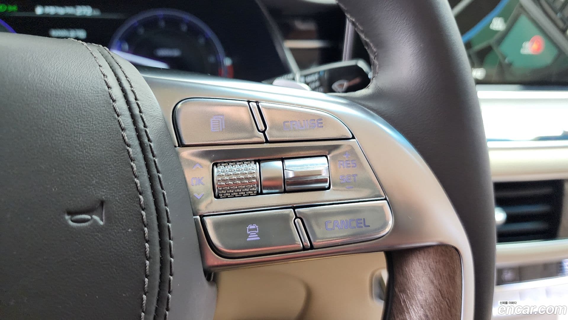 Main__Slider__Photo:K9 Kia 2019.5-35