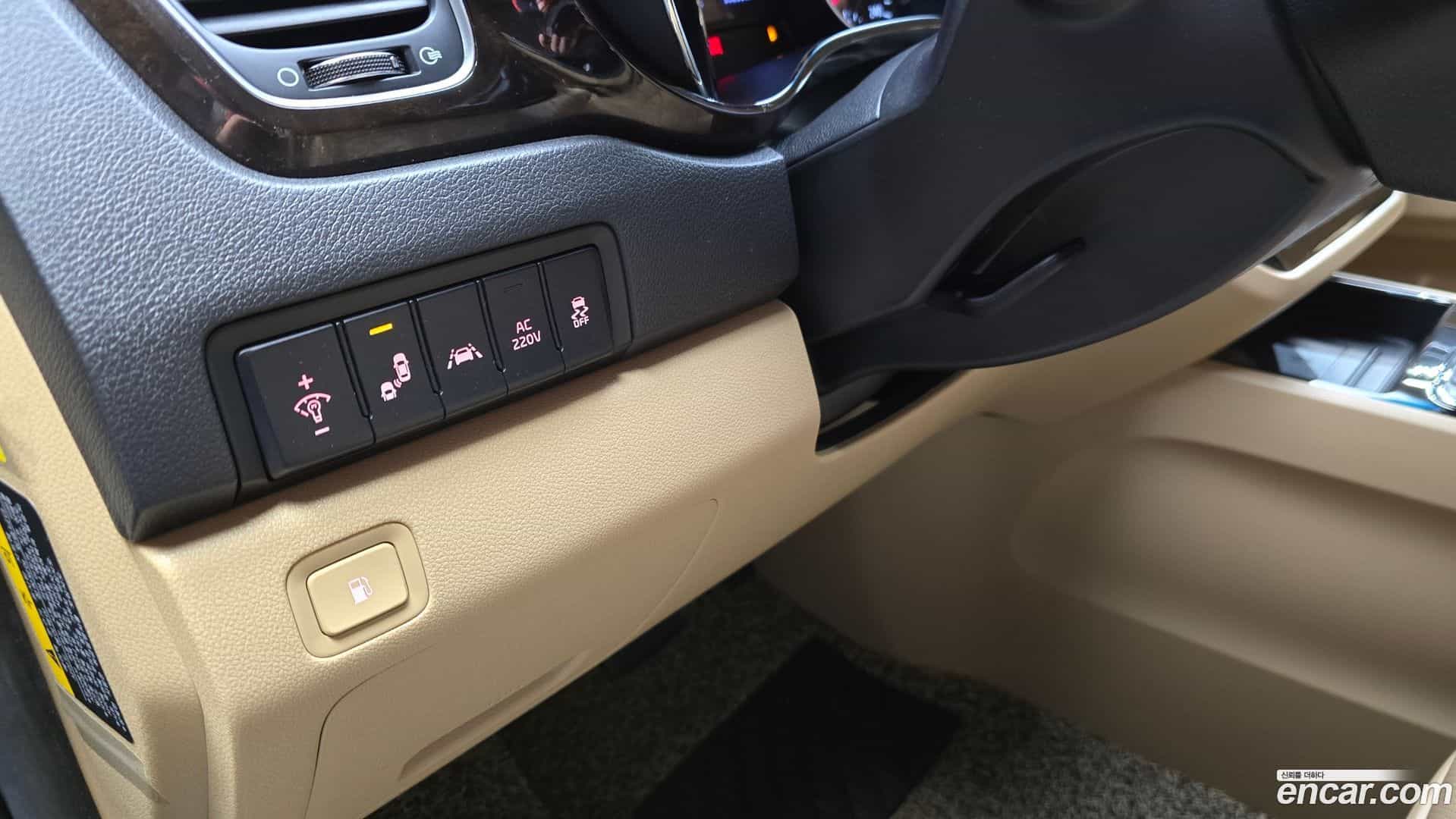 Canival Kia 2019.7-OPTION-019
