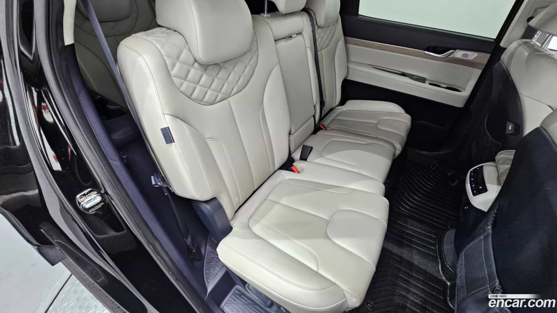 Palisade Hyundai 2020.3-OPTION-021