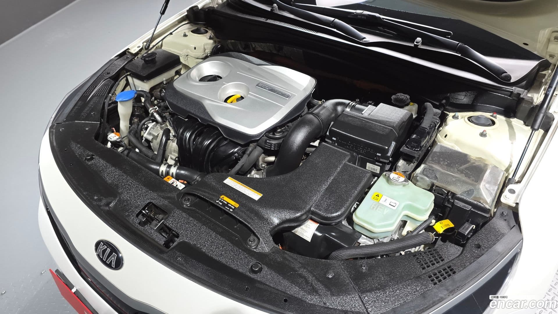 Main__Slider__Photo:K5 Kia 2016.4-5
