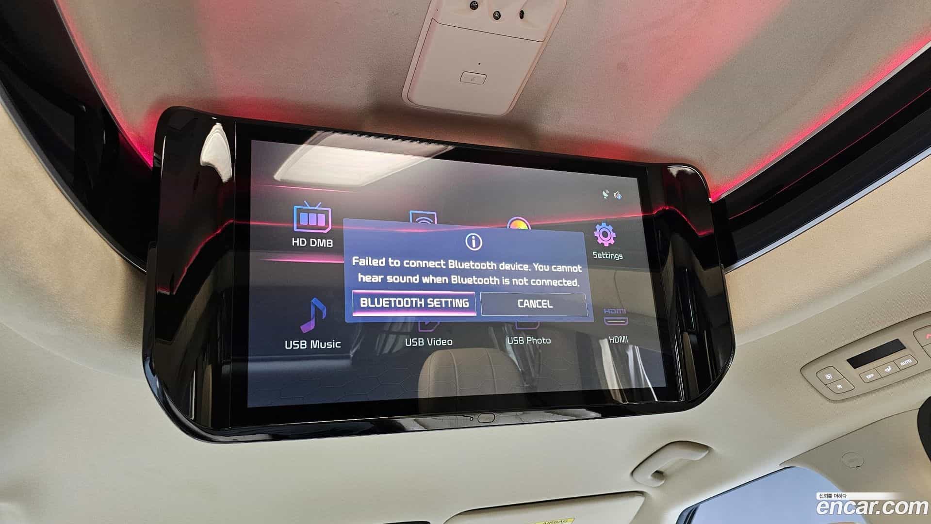 Canival Kia 2021.11-OPTION-022