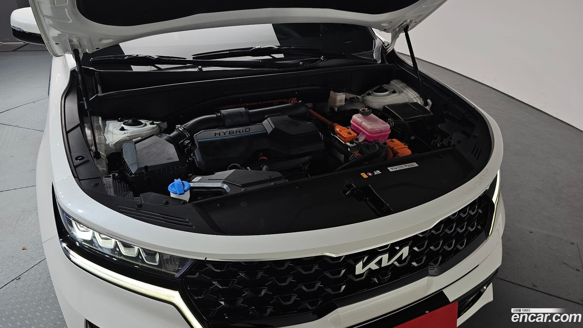 Main__Slider__Photo:Sorento Kia 2022.11-5