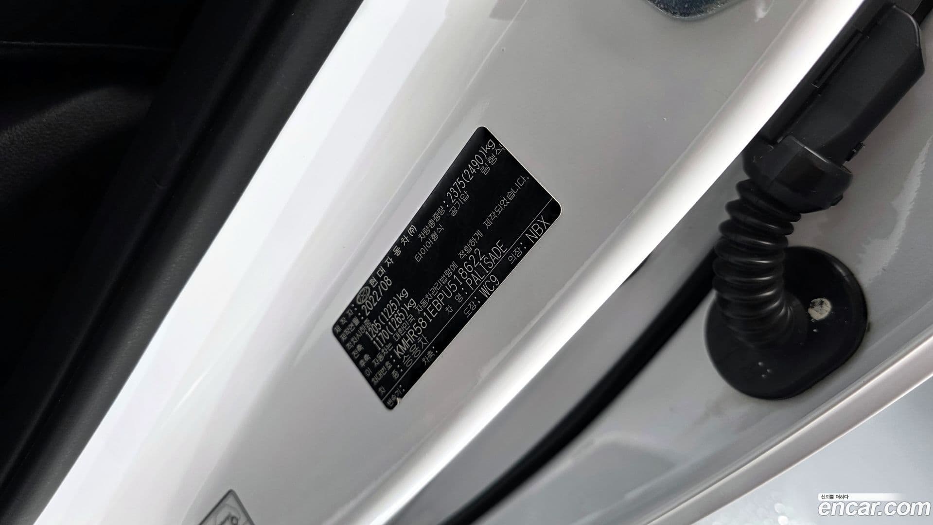Main__Slider__Photo:Palisade Hyundai 2022.7-27