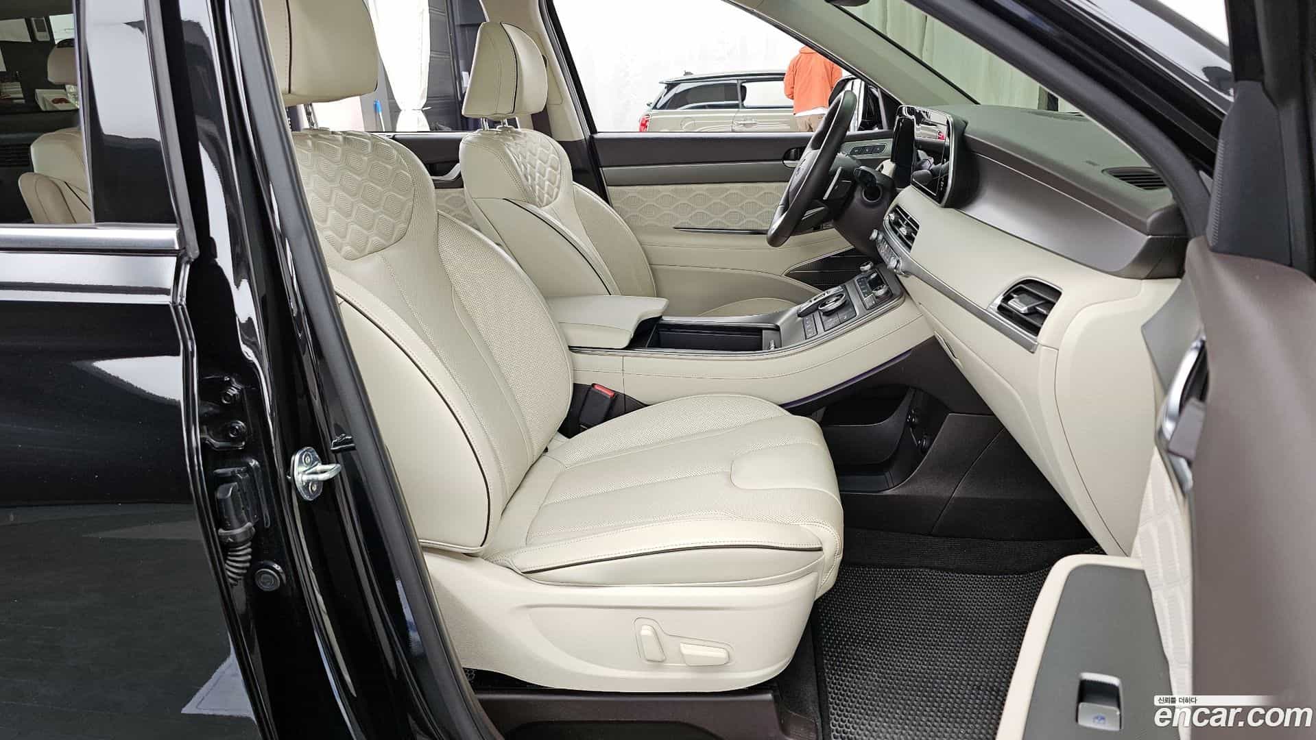 Palisade Hyundai 2020.10-OPTION-016
