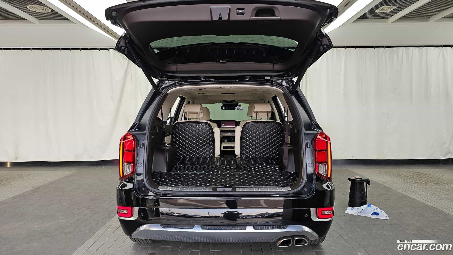 Palisade Hyundai 2020.10-OPTION-024