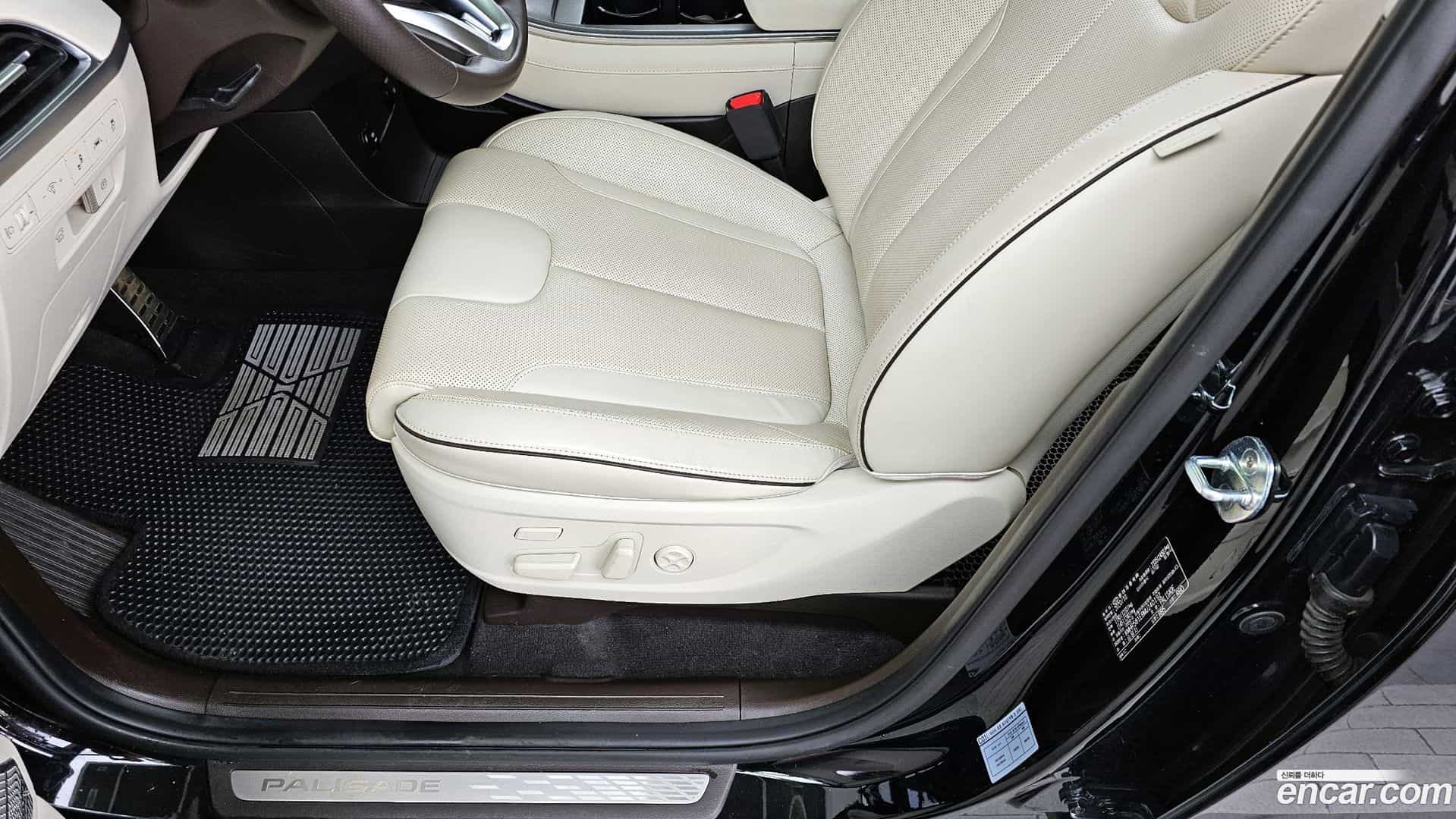 Palisade Hyundai 2020.10-OPTION-042