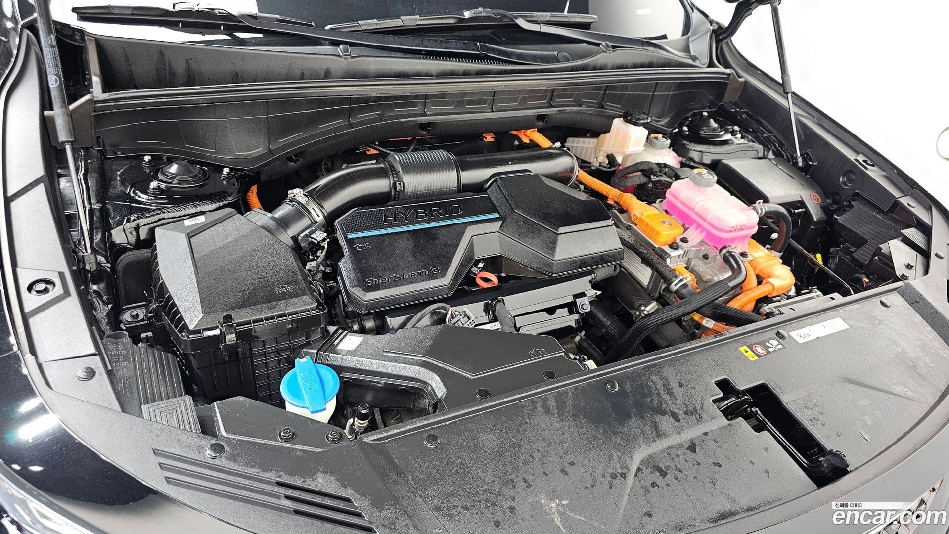 Main__Slider__Photo:Sorento Kia 2022.4-5