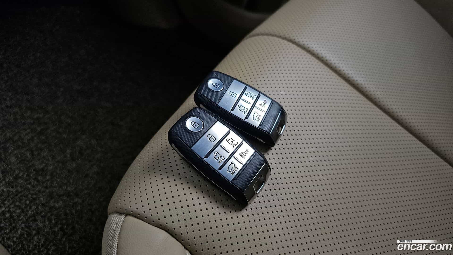Canival Kia 2020.0-OPTION-042