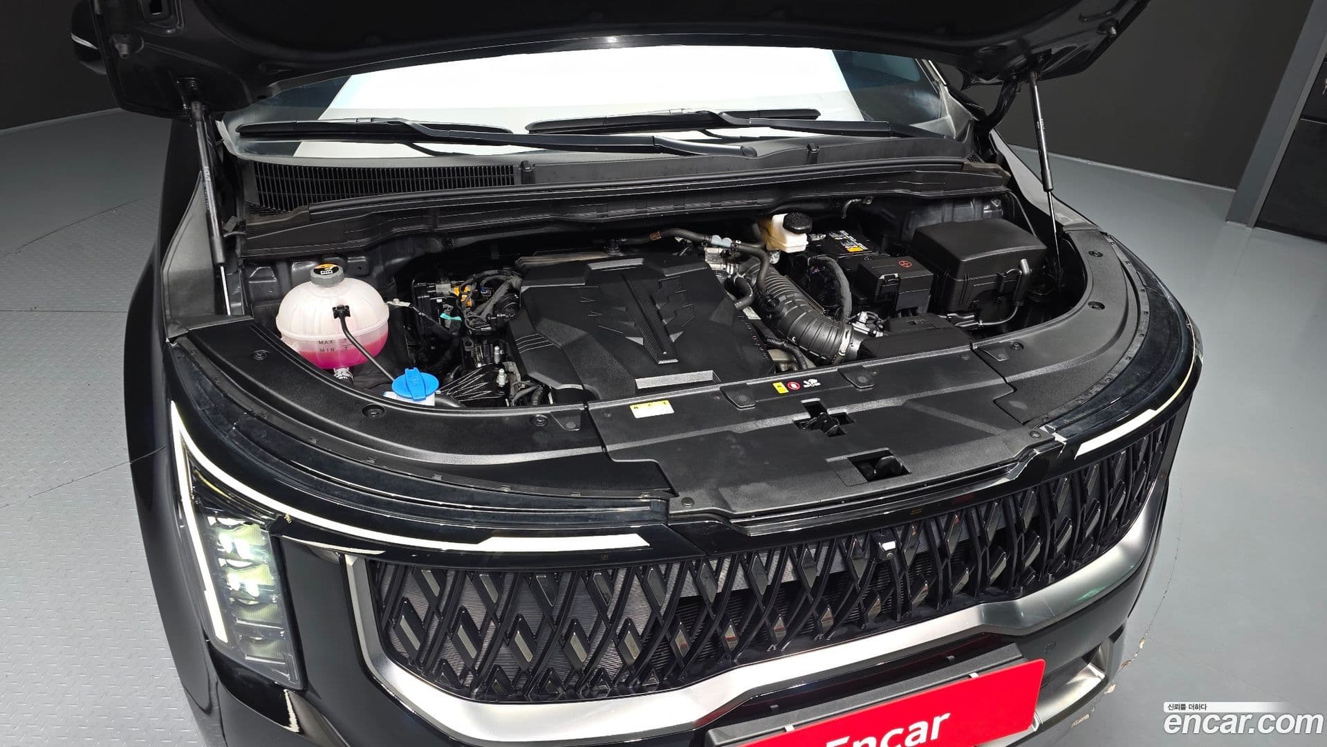 Main__Slider__Photo:Canival Kia 2024.9-5