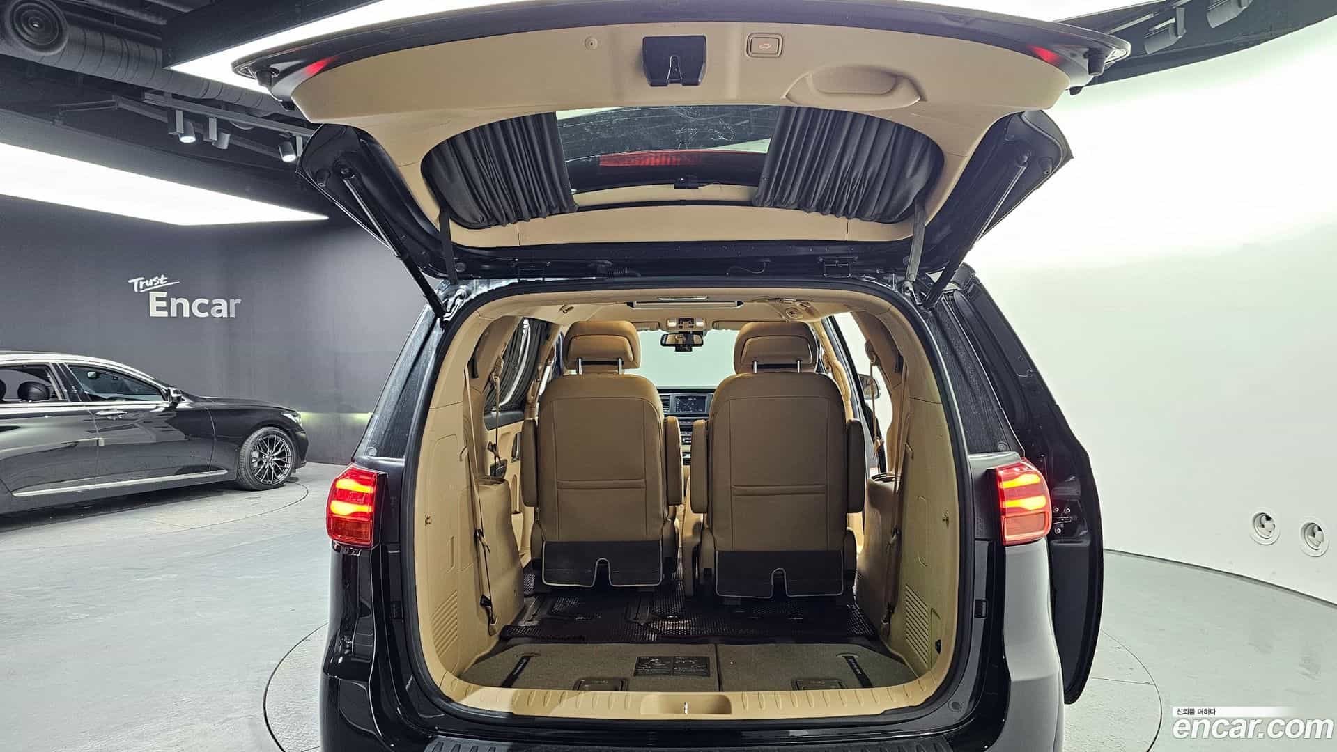 Canival Kia 2019.3-OPTION-024