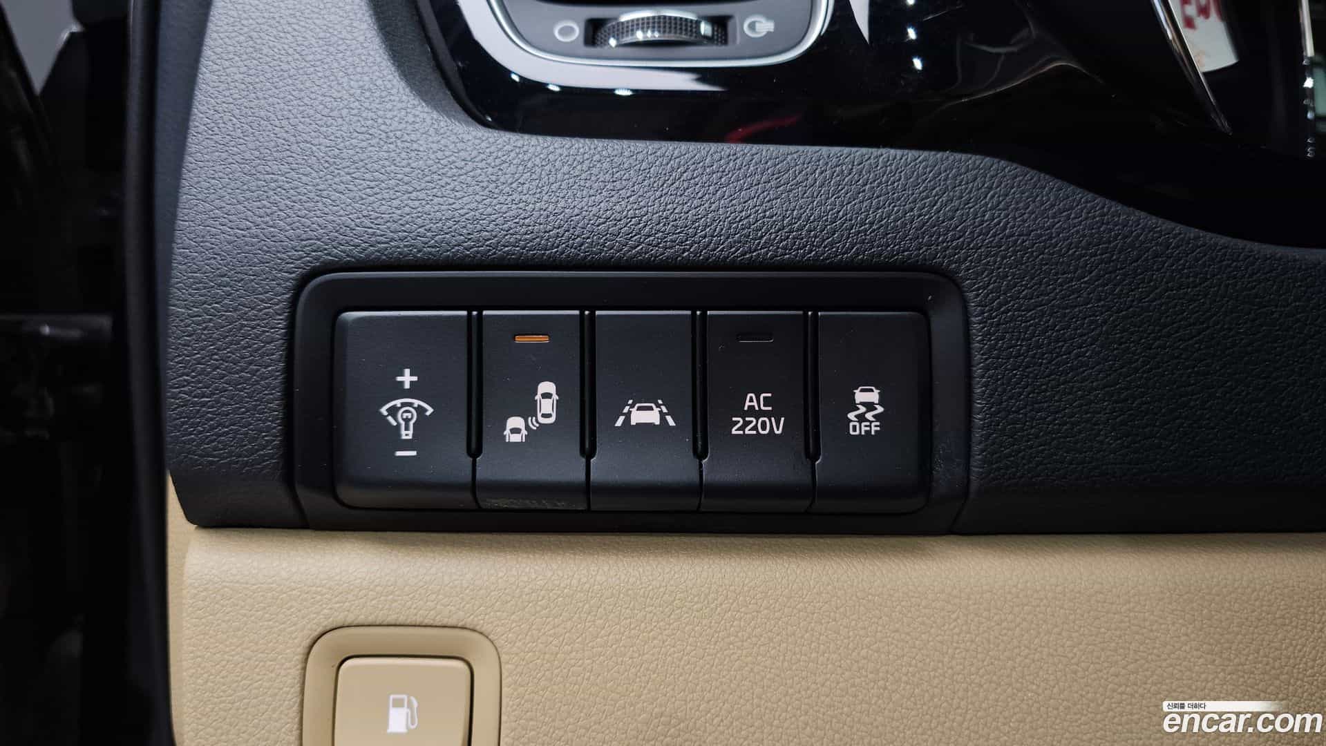 Canival Kia 2019.3-OPTION-042